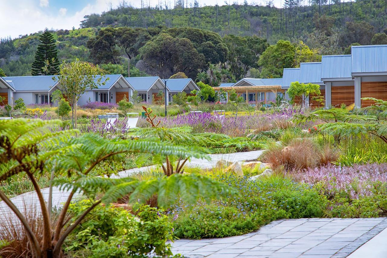 Knysna Hollow Country Estate Exteriér fotografie